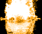 splash image