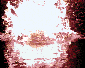 splash image