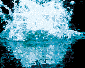 splash image