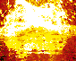 splash image
