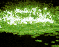 splash image