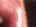 505 CD cover image